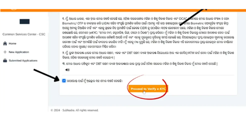 Proceed to verify e-KYC
